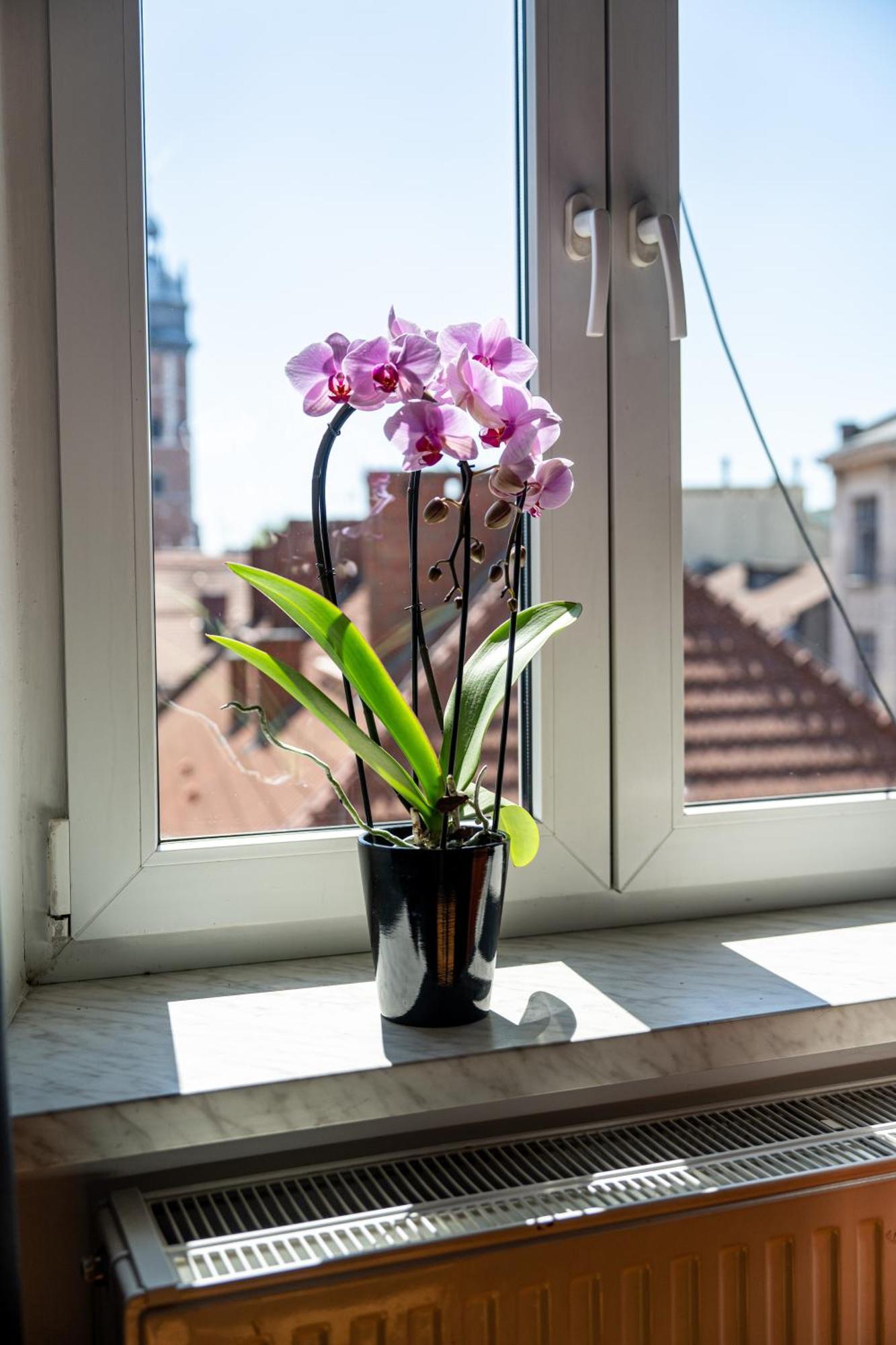 Vista View Apartment Krakow Luaran gambar